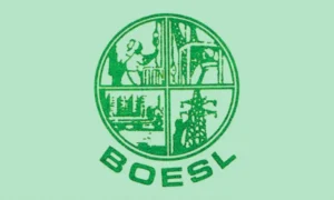 boesl-bdamargoal