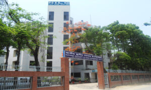 nilg-bdamargoal-logo