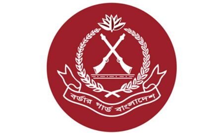 বিজিবিতে সিপাহি পদে চাকরির সুযোগ ২০২৫