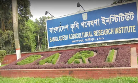কৃষি গবেষণা ইনস্টিটিউটে বিভিন্ন পদে চাকরির সুযোগ ২০২৫