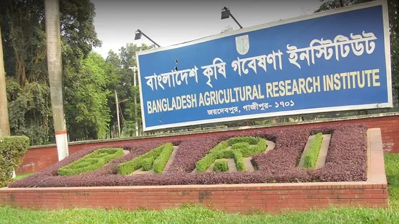 কৃষি গবেষণা ইনস্টিটিউটে বিভিন্ন পদে চাকরির সুযোগ ২০২৫